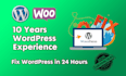 fix wordpress website, fix wordpress error and wordpress bug fix within 24 hours