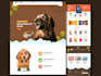 build wordpress website with elementor pro