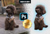 edit your photo, image, graphic or remove background
