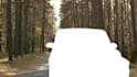 do quality rotoscoping, green screen removal and tracking