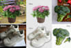 do clipping path n background remove