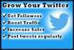 grow twitter account and build audience for your business