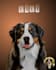 draw your pet photo into amazing cartoon portrait