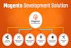 do magento 2 development and customization
