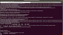 write automated js c sharp selenium tests cases with docker