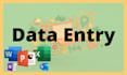 do excel data entry, copy paste, typing, web research