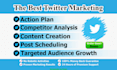 do organic twitter marketing, promotion with audience growth and content tweet