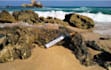 put your text inside a bottle at beach