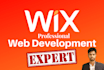 do design and redesign wix website