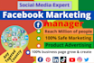 promote your business with 5 million active facebook friends
