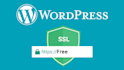 install free SSL certificate for lifetime and fix https errors