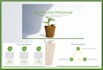 professionally write and design powerpoint presentations