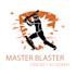 design a modern and outstanding cricket logo