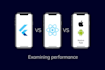 do native android and ios hybrid flutter and react native mobile appsdevelopment
