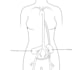 create medical and scientific illustrations
