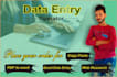 do perfect conversion into word, perfect typing, and excel data entry