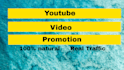do professional organic top youtube video promotion