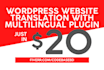 do multilingual or multilanguage with wpml plugin to your wordpress website
