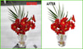do background removal any kind of images for your business