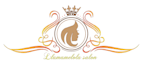 design your logo as your choice
