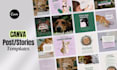 design aesthetic canva templates for modern brand identities