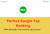 do google top ranking your website with monthly SEO service