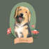 make personalized illustrations for you