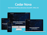 design, redesign, develop a responsive wordpress website with elementor