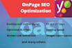 optimize website onpage technical SEO service wordpress shopify