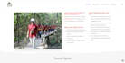 be your salient theme expert