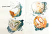 illustrate anything in watercolour sketch