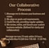 build you a modern wordpress, shopify website