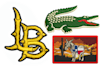 embroidery digitizing, 3d puff, applique, dst, pes, in 1hr