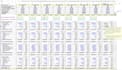 do financial analysis in clients specified templates