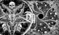 create detailed hand drawn dark art and blackwork
