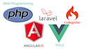 build laravel, symphony, php, vuejs, angular web application