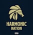 design the best and professional dj logo