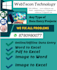 data entry and graphics virtual assistant
