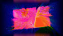create an animated abstract music video