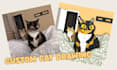 create a quirky and colorful custom cat illustration