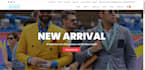 build professional wordpress website design or blog