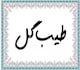 design urdu calligraphy  name logo professionally