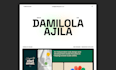 design and develop a premium, responsive wordpress website