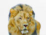 draw hyper realistic animals