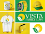 design a professional logo, branding, and brand style guide