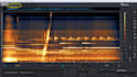 remove noise and artifacts from your audio files