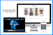 design professional wix websites, mobile and seo optimized