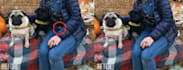 edit retouch restore or manipulate your photos