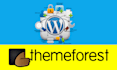 customize themeforest theme 24h