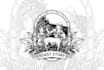 draw illustration in vintage style vector format